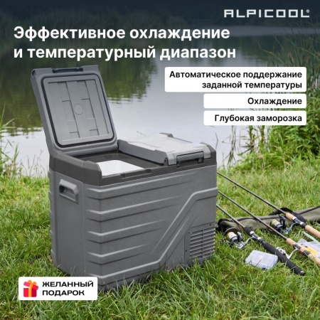 Компрессорный автохолодильник Alpicool NLD55 (12/24)